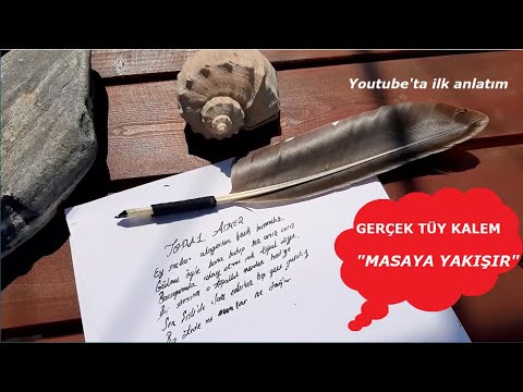 Nakaya Naka-ai Fountain Pen